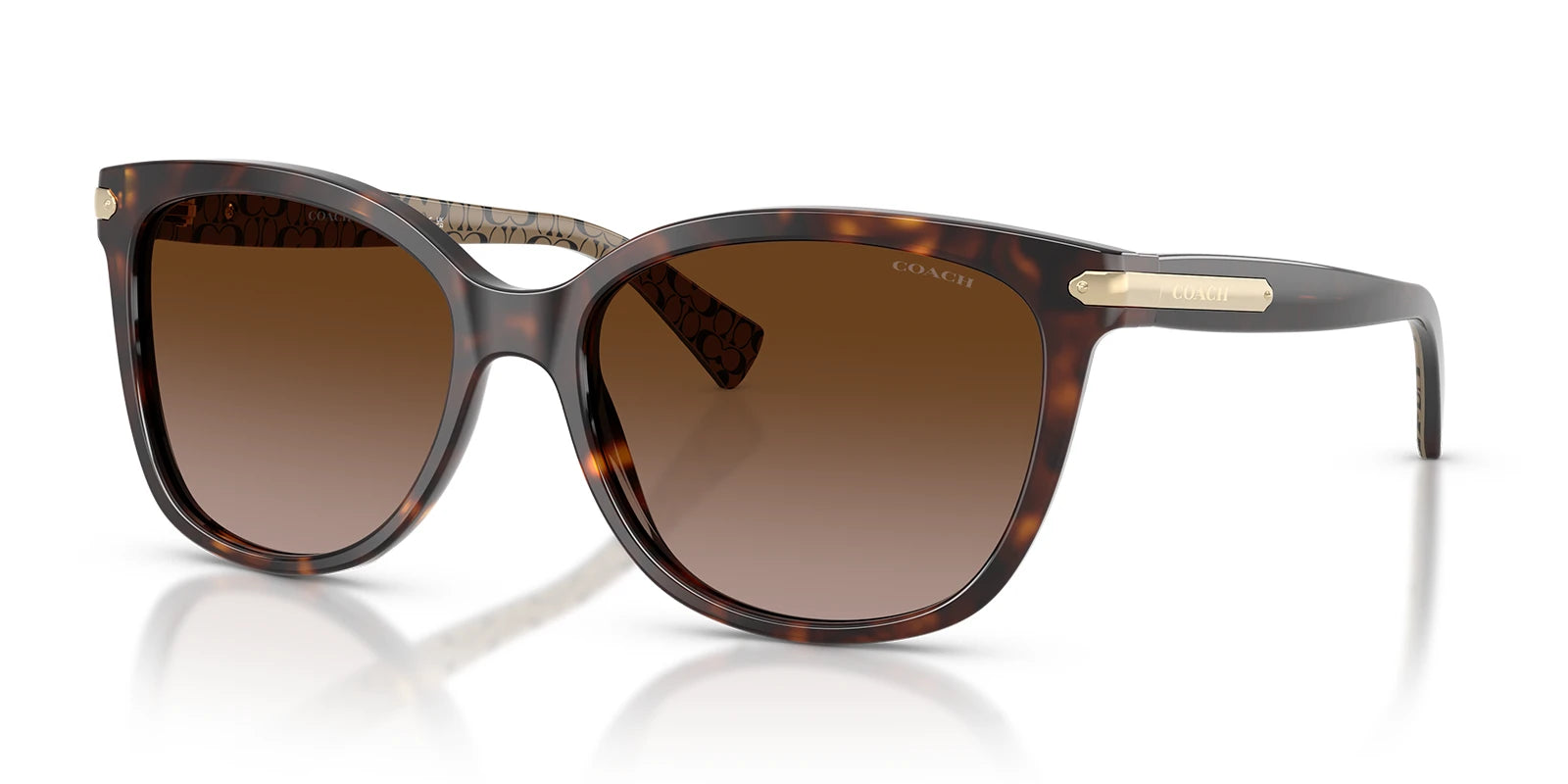 COACH HC8132-Tortoise / Brown Gradient