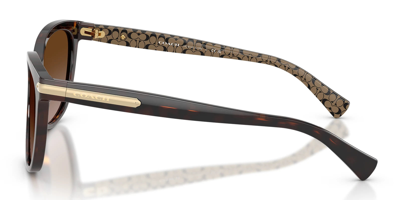 COACH HC8132-Tortoise / Brown Gradient