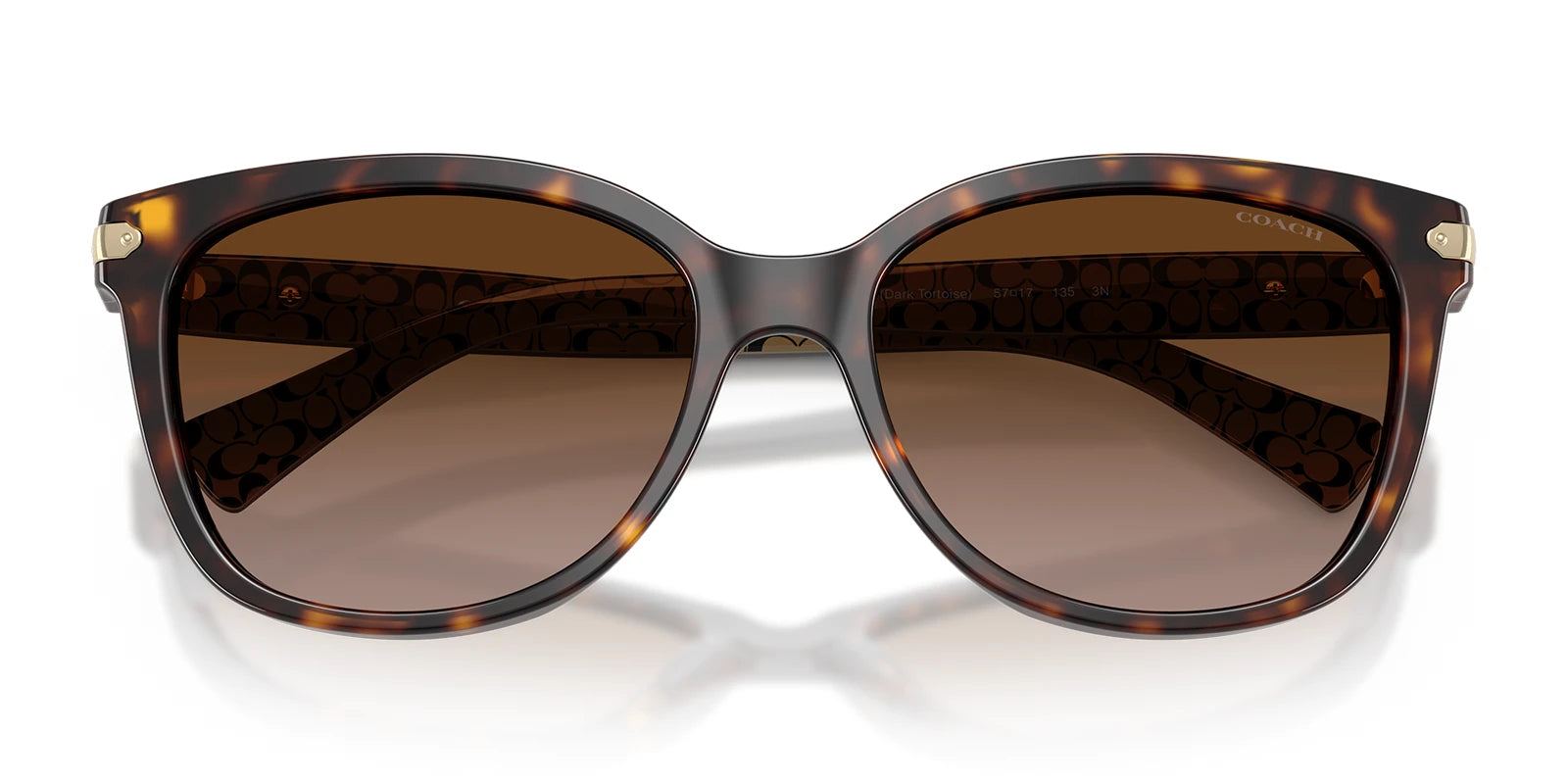 COACH HC8132-Tortoise / Brown Gradient