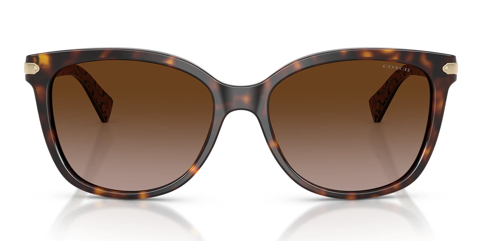 COACH HC8132-Tortoise / Brown Gradient
