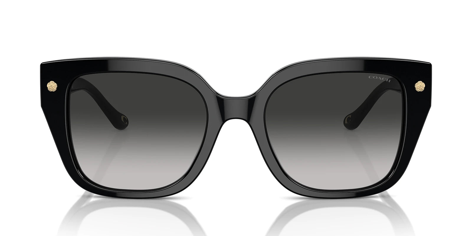 COACH HC8392-Black With Grey Gradient