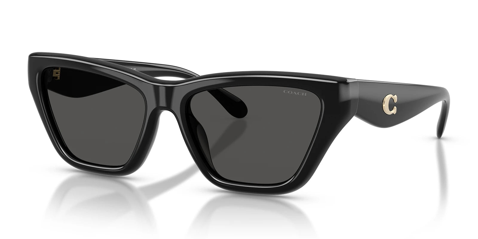 COACH HC8449-Black With Grey Lenses