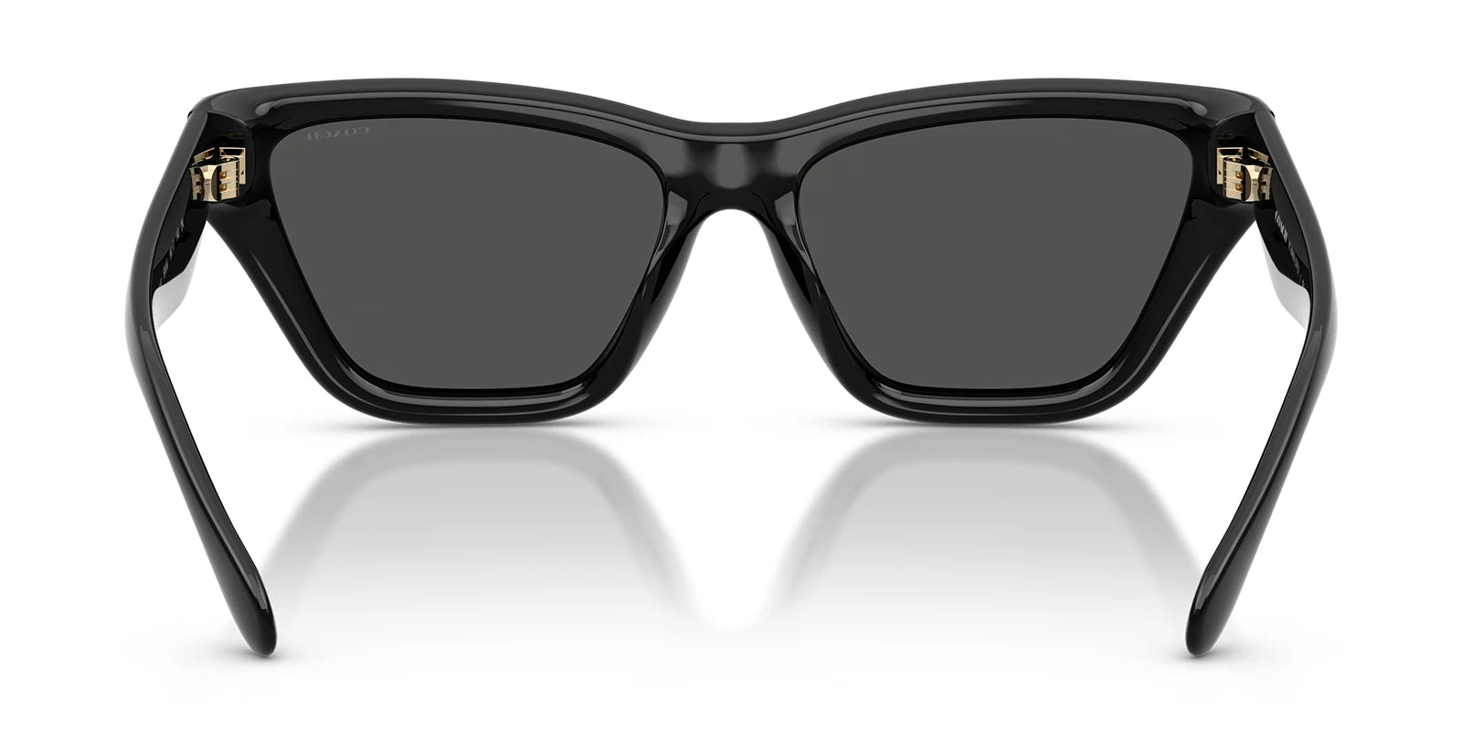 COACH HC8449-Black With Grey Lenses