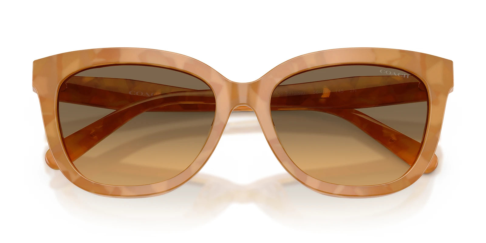 COACH HC8453-Tortoise / Green