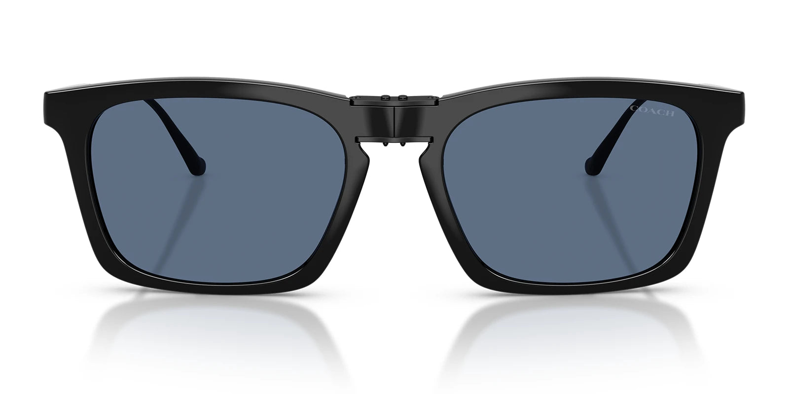 COACH HC8455-Black / Blue Gradient