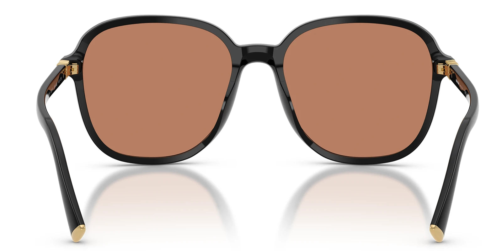 Miu Miu MUB01-Black / Brown