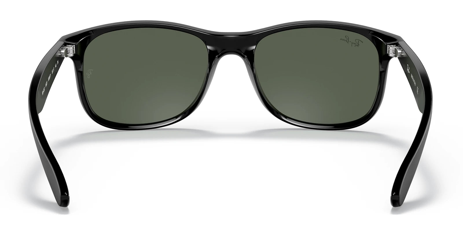 RayBan RB4202-Black / G-15 green