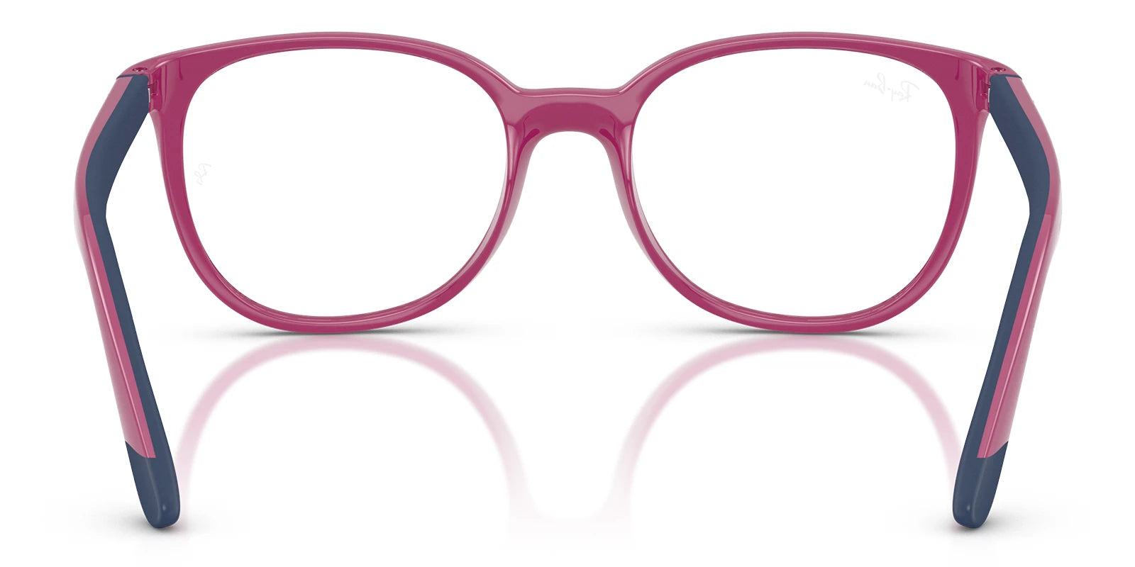 Ray Ban RB1631-Purple
