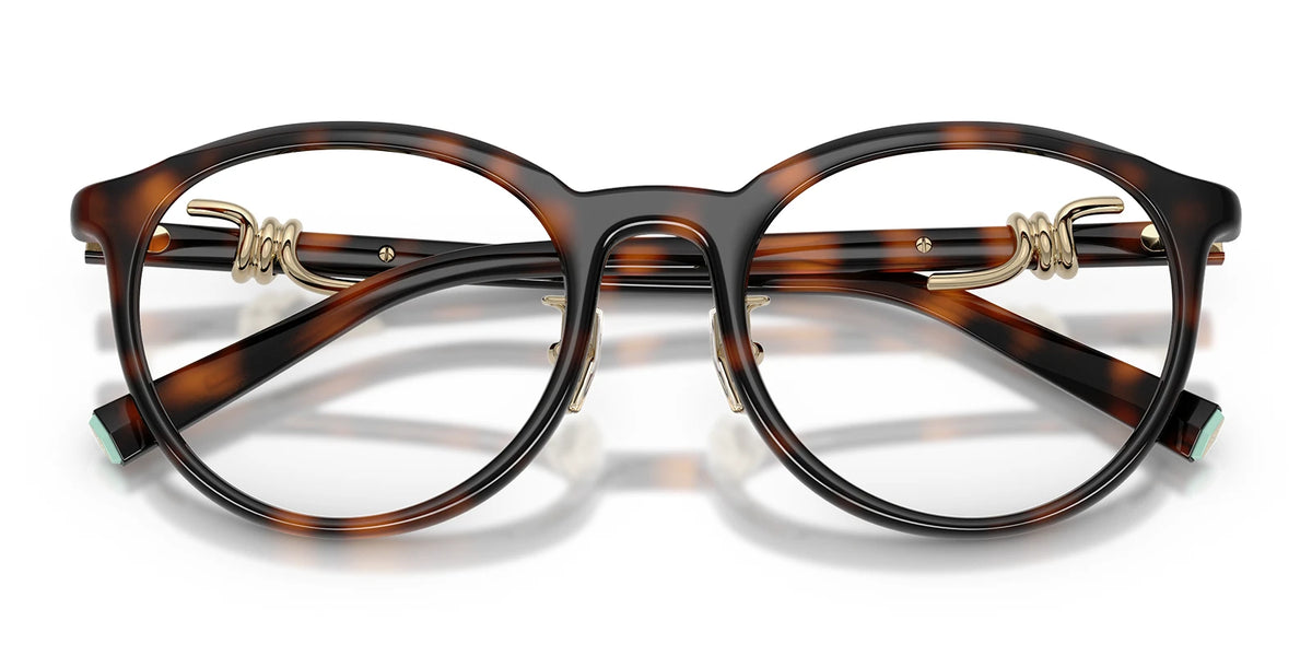 Tiffany TF2304-Tortoise