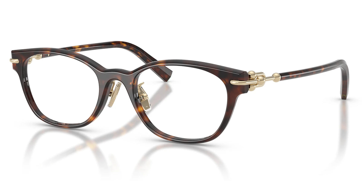 Tiffany TF2305-Tortoise