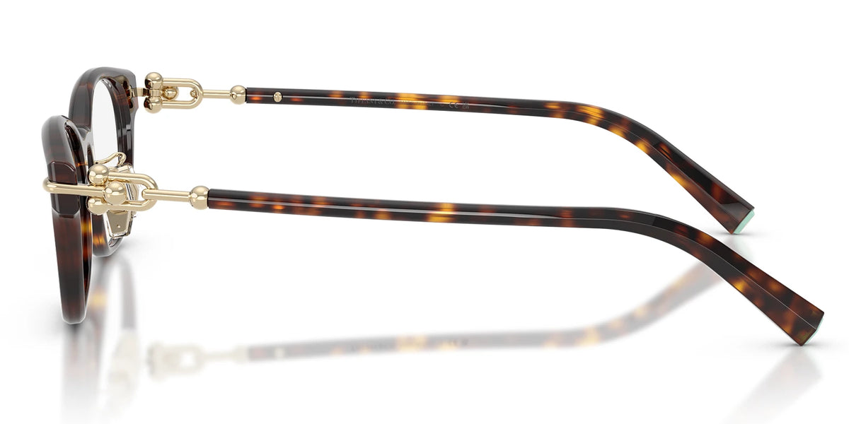 Tiffany TF2305-Tortoise