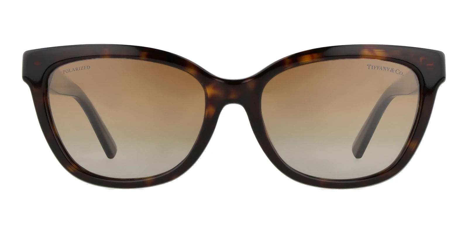 Tiffany TF4237-Tortoise / Brown Gradient