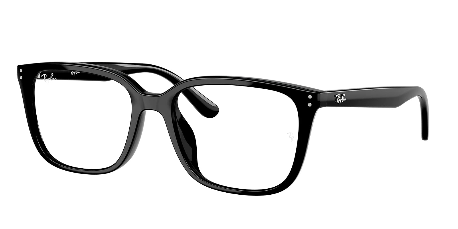 RayBan RB7248-Black