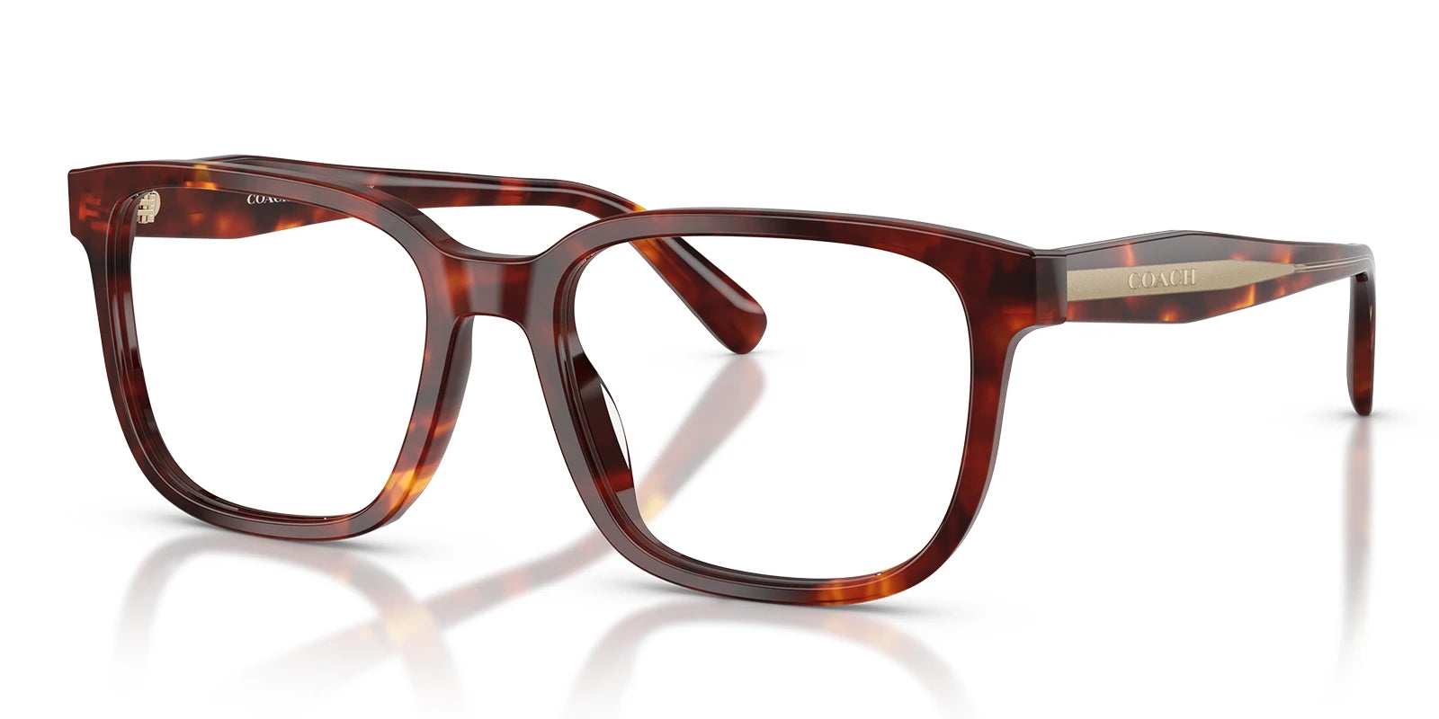 COACH HC6291-Tortoise