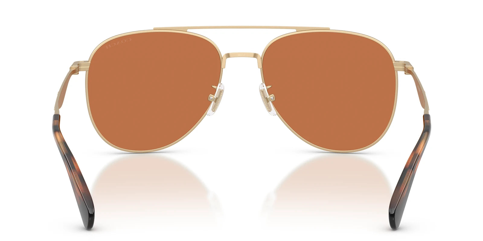COACH HC7190-Arista Gold / Light brown