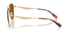 COACH HC7190-Gold / brown polarized