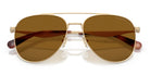 COACH HC7190-Gold / brown polarized