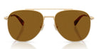 COACH HC7190-Gold / brown polarized