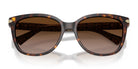 COACH HC8132-Tortoise / Brown Gradient