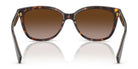 COACH HC8132-Tortoise / Brown Gradient