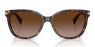 COACH HC8132-Tortoise / Brown Gradient