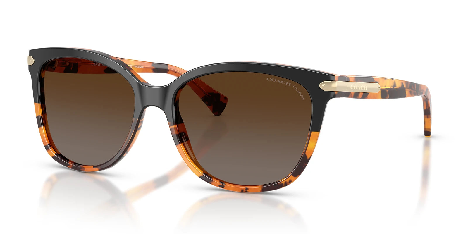 COACH HC8132-Tortoise / Brown Polarized