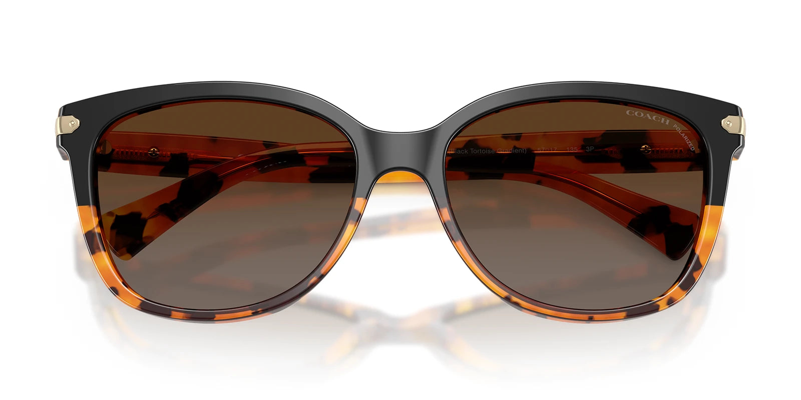 COACH HC8132-Tortoise / Brown Polarized
