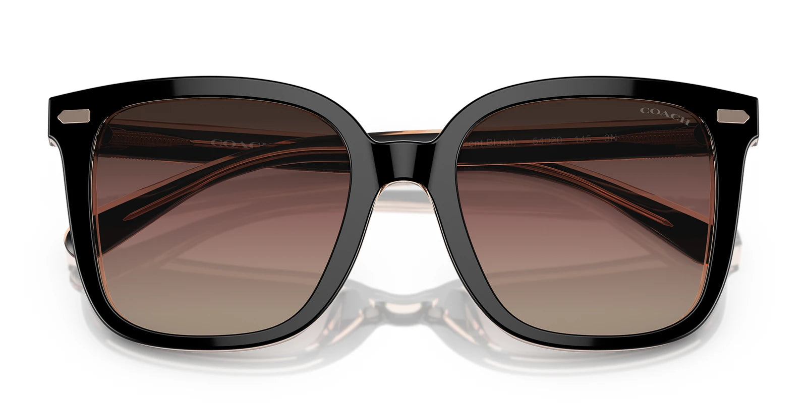 COACH HC8381-Black / Violet