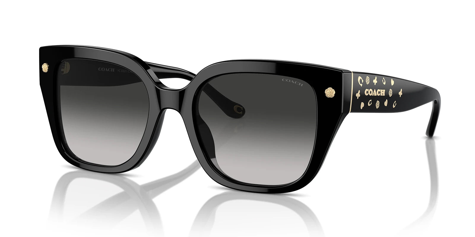 COACH HC8392-Black With Grey Gradient