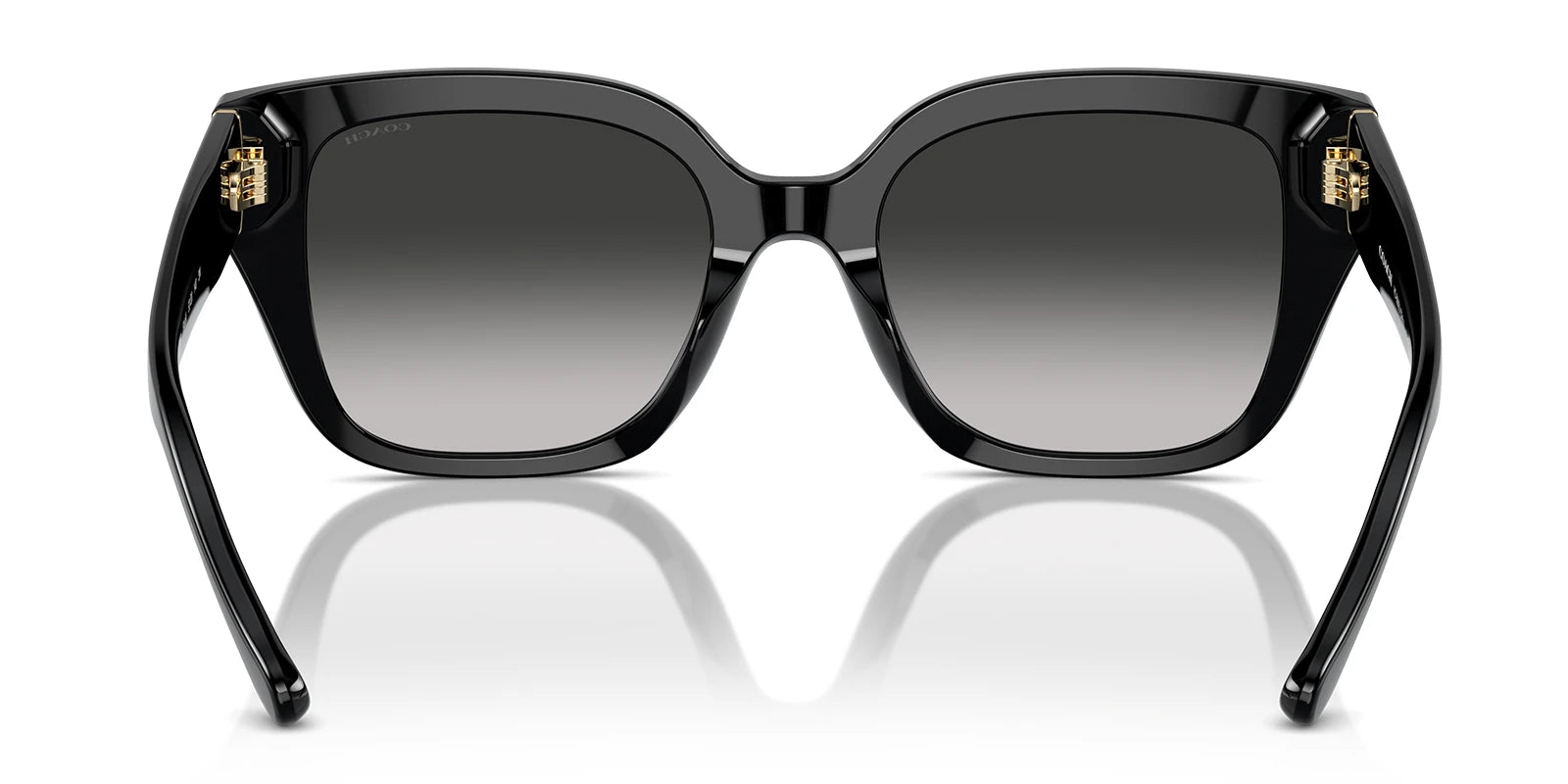 COACH HC8392-Black With Grey Gradient