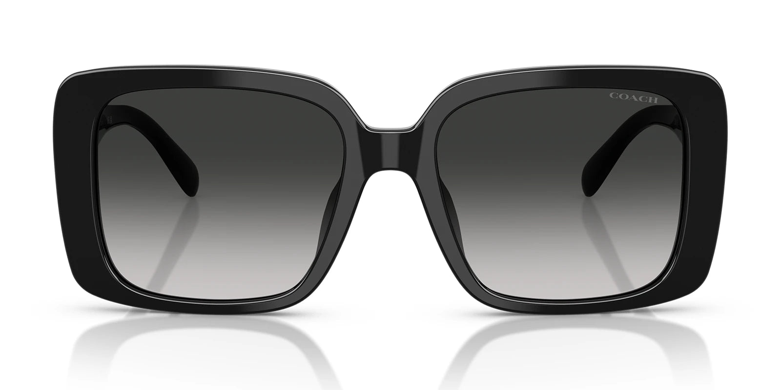 COACH HC8424-Black With Grey Gradient