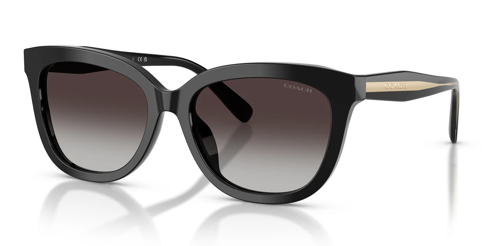 COACH HC8453-Black With Grey Lenses