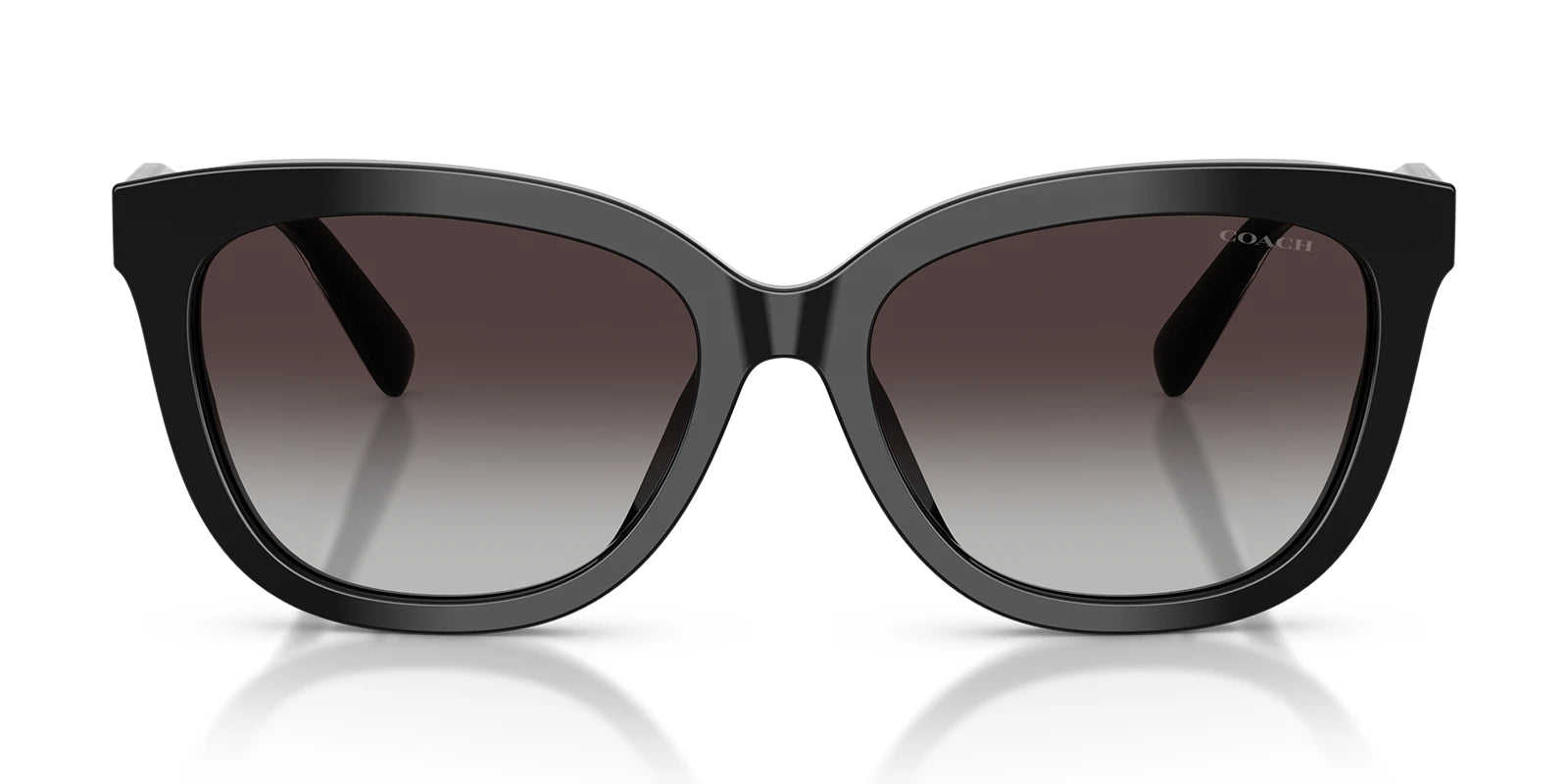 COACH HC8453-Black With Grey Lenses