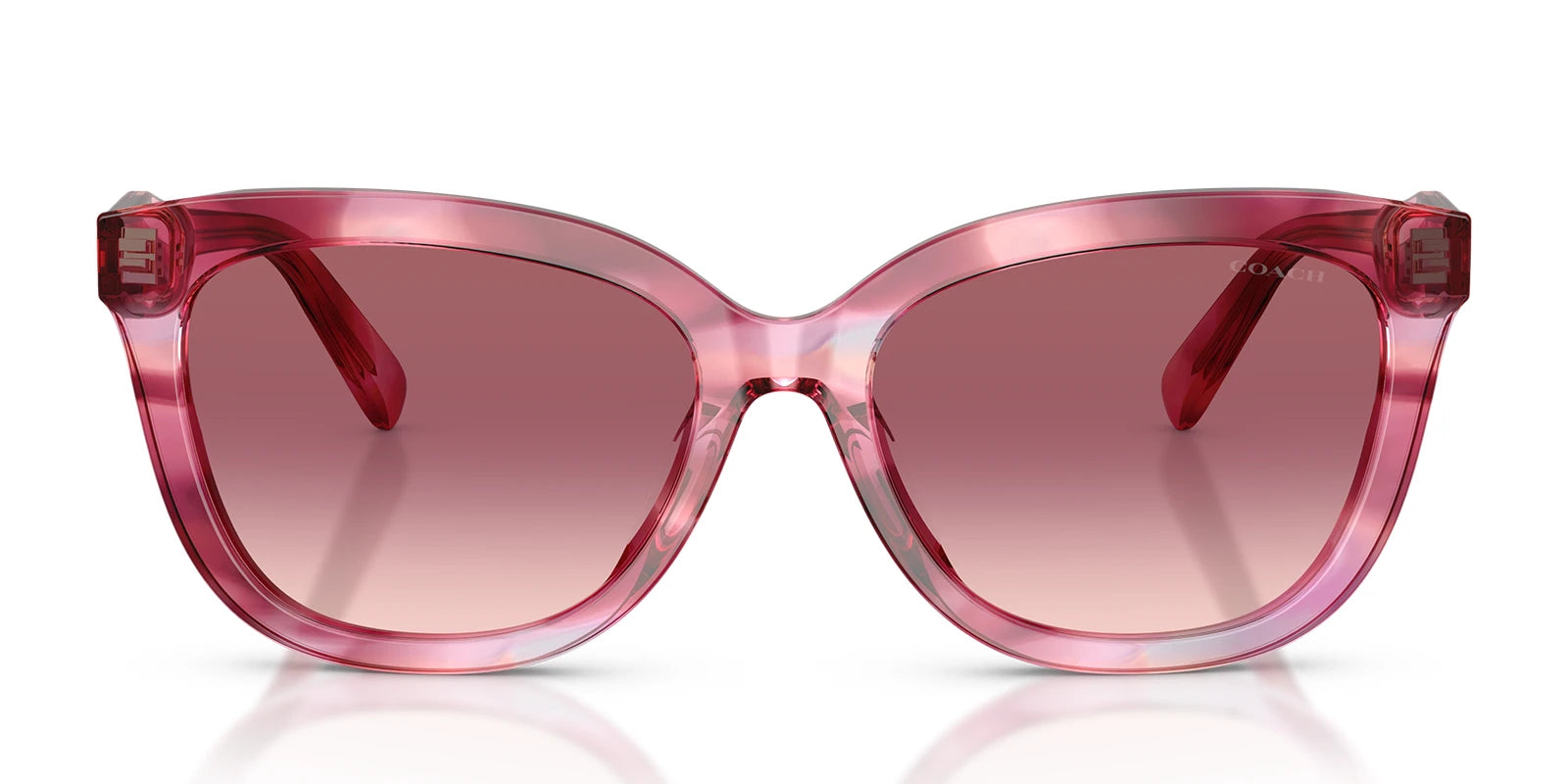 COACH HC8453-Purple Tortoise / Pink Gradient