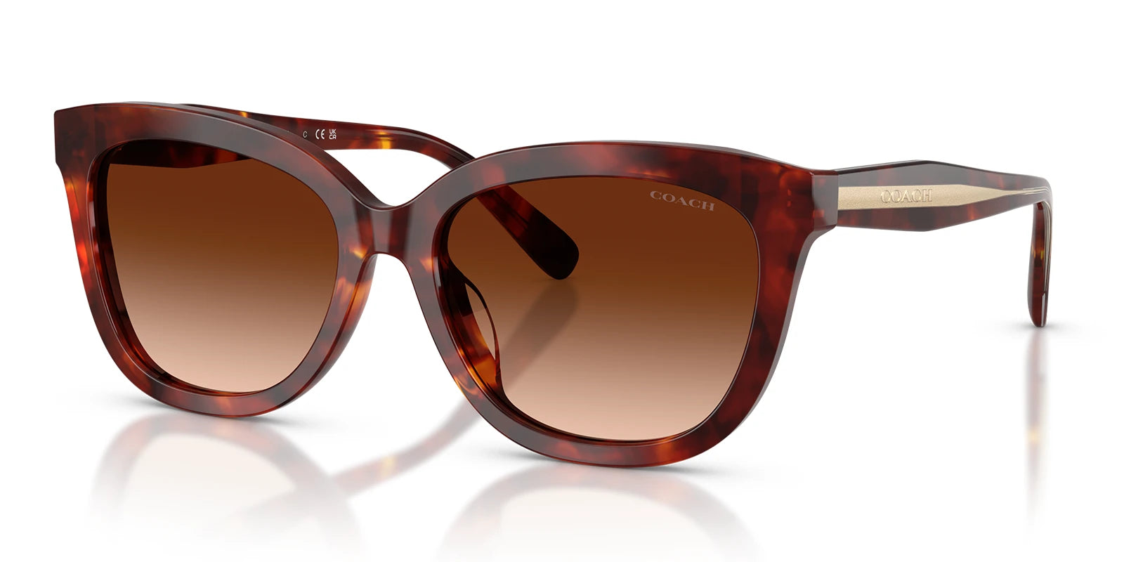 COACH HC8453-Tortoise / Brown Gradient