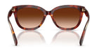 COACH HC8453-Tortoise / Brown Gradient