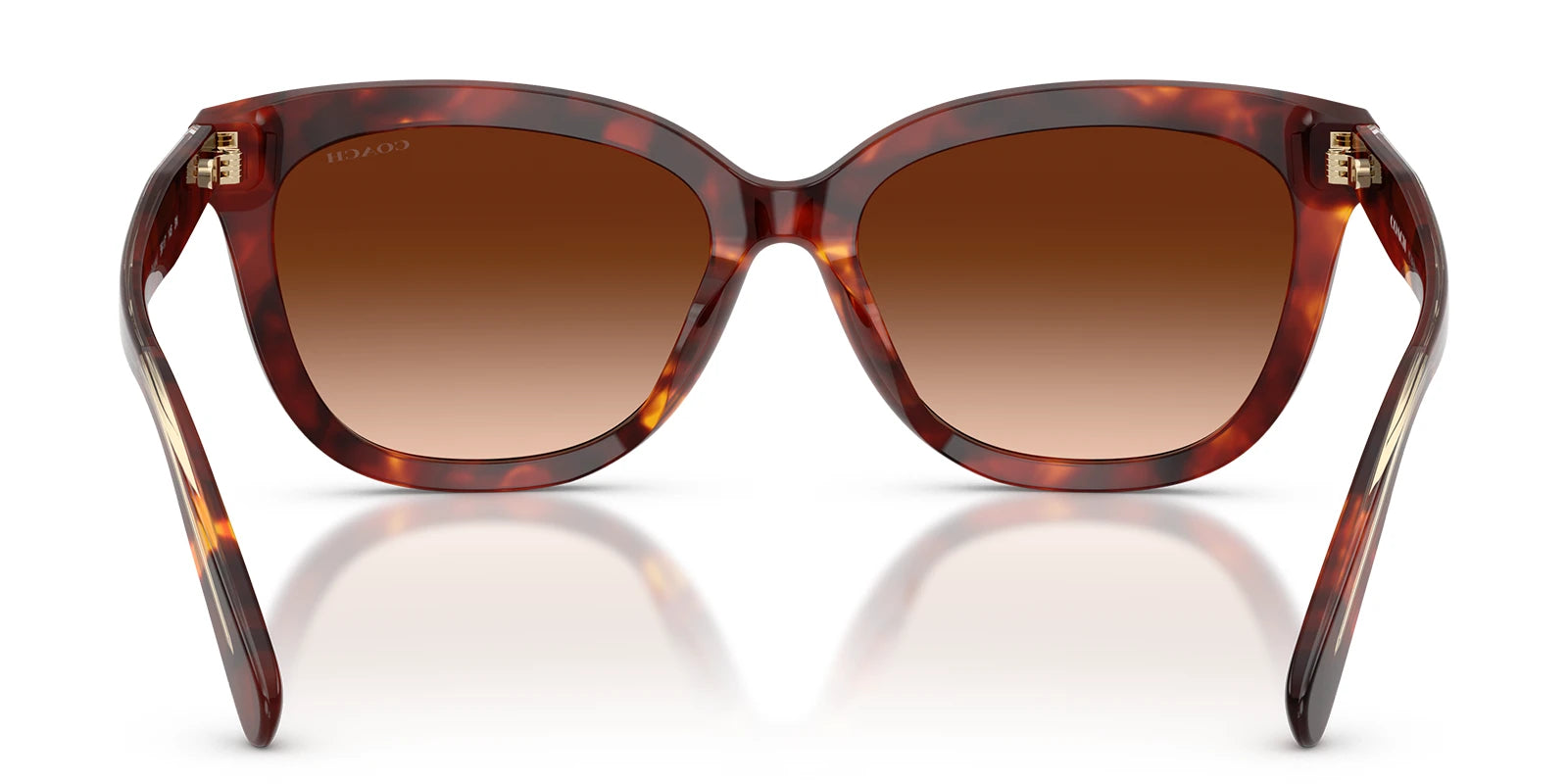 COACH HC8453-Tortoise / Brown Gradient