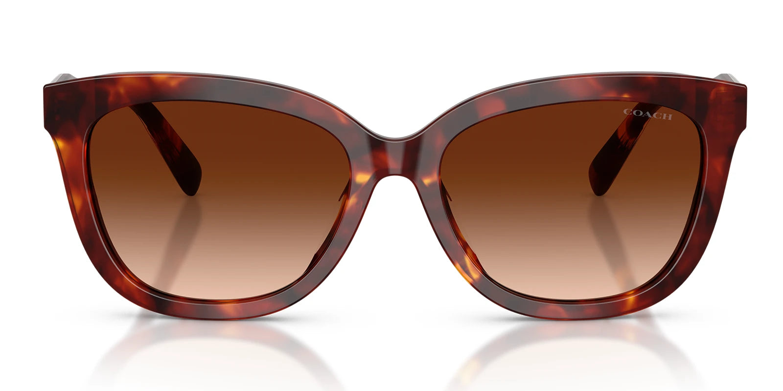 COACH HC8453-Tortoise / Brown Gradient