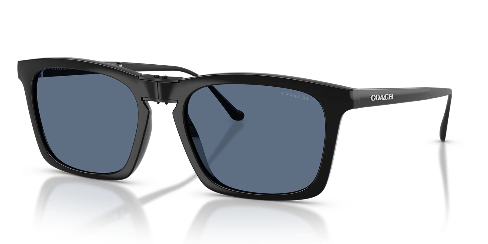 COACH HC8455-Black / Blue Gradient
