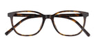 Dolce & Gabbana DG3426-Tortoise