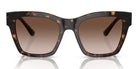 Dolce & Gabbana DG4384-Tortoise / Brown Gradient