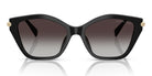 Michael Kors MK2246-Black With Grey Gradient