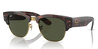 RayBan RB0316-Tortoise / Green