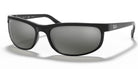 RayBan RB2027-Black / Grey Polarized