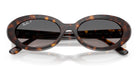 RayBan RB2223-Tortoise / Grey Polarized 