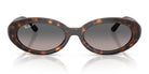 RayBan RB2223-Tortoise / Grey Polarized 