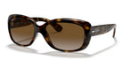 RayBan RB4101-Tortoise / Brown Polarized