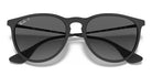 RayBan RB4171- Black / Grey Polarized