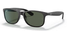 RayBan RB4202-Black / G-15 green