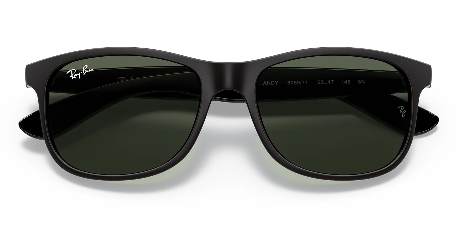 RayBan RB4202-Black / G-15 green